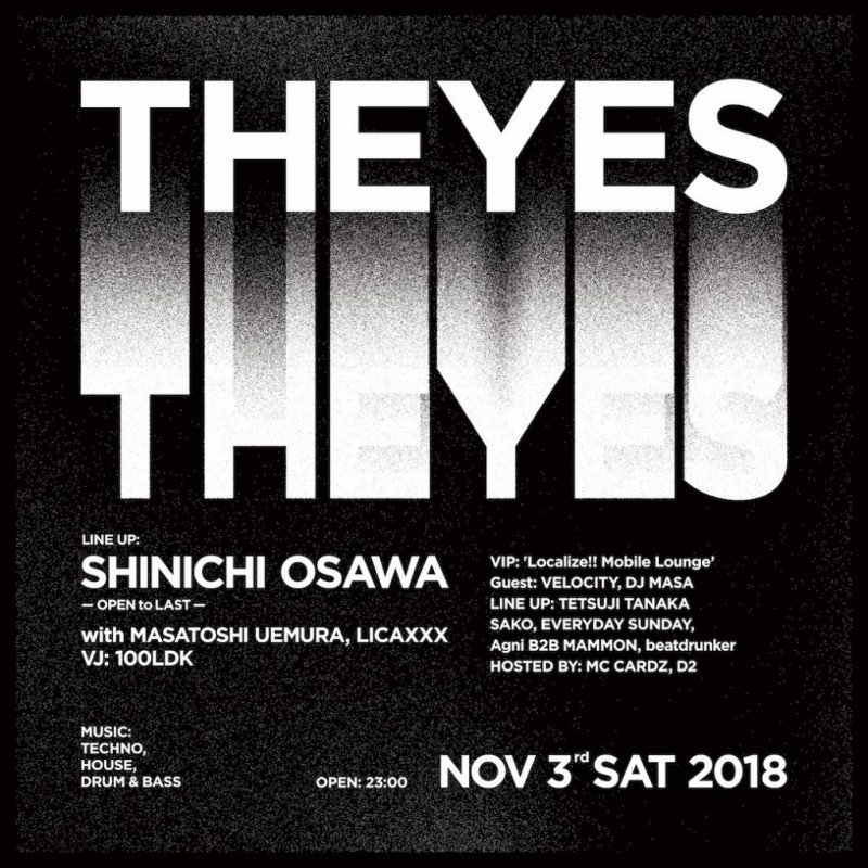  THEYES